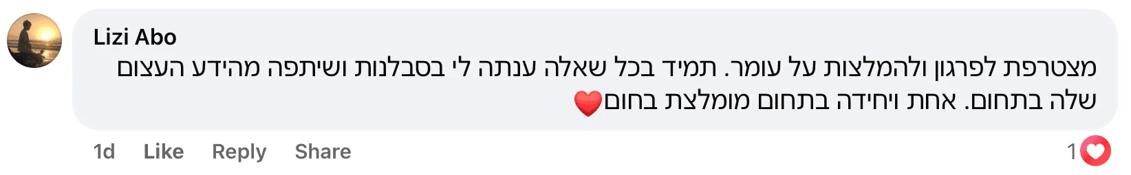 ליזי - כללי