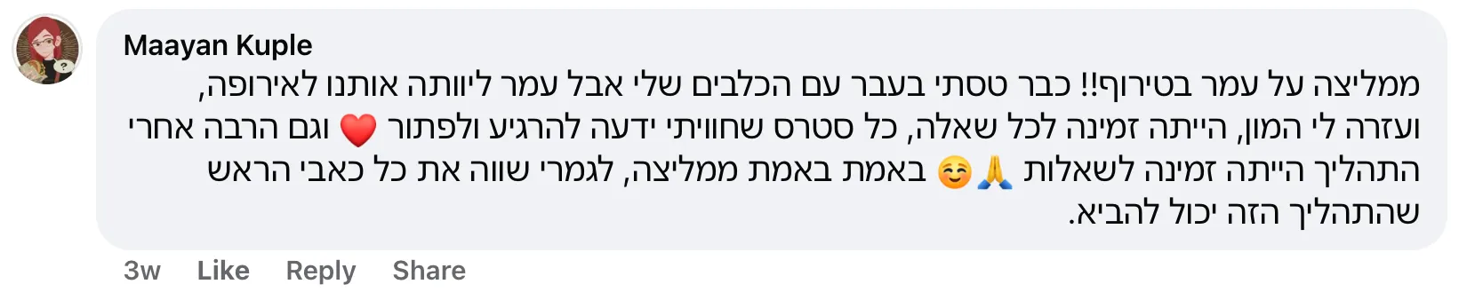 מעיין אירופה