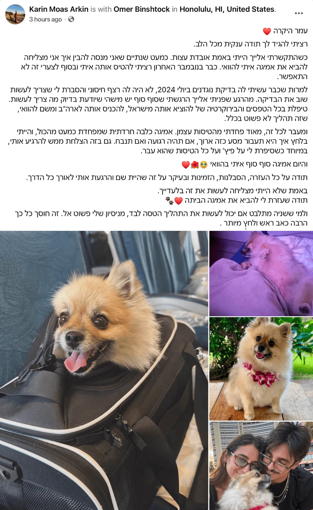המלצה של קארין מואס על הטסת אמיגה להוואי