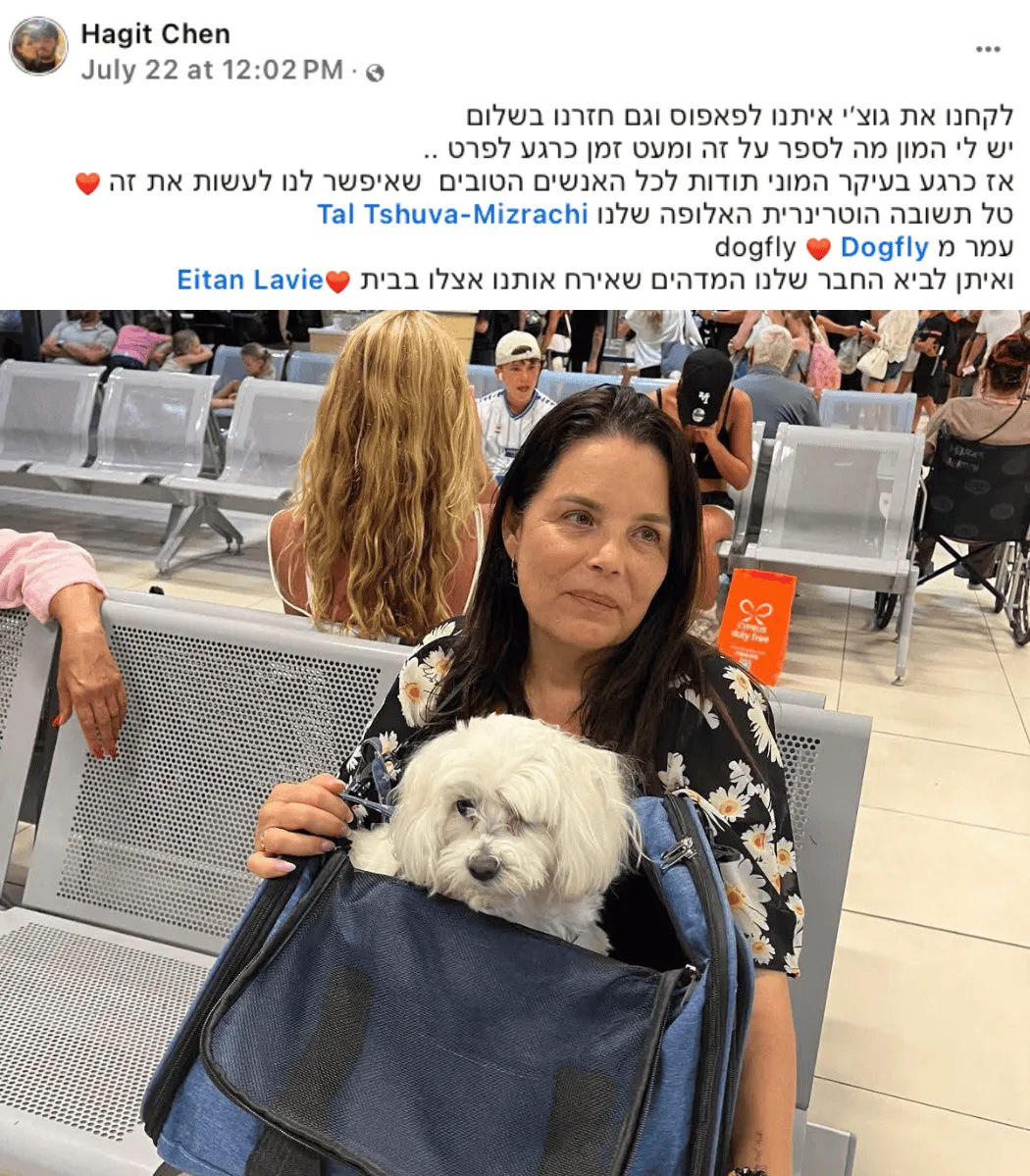 טיסה כלב אירופה קפריסין