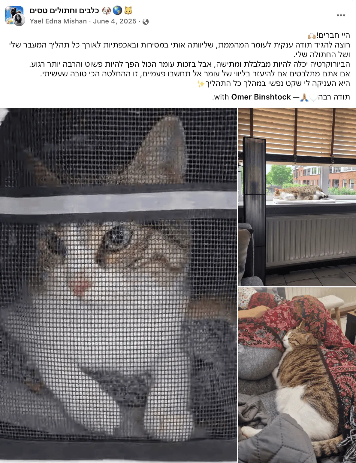 לקוחה ממליצה הולנד