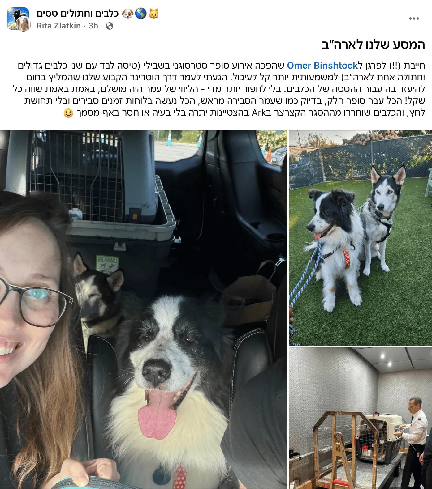 המלצה של ריטה זלטקין על הטסת אנדי רובין ומייפל לטקסס